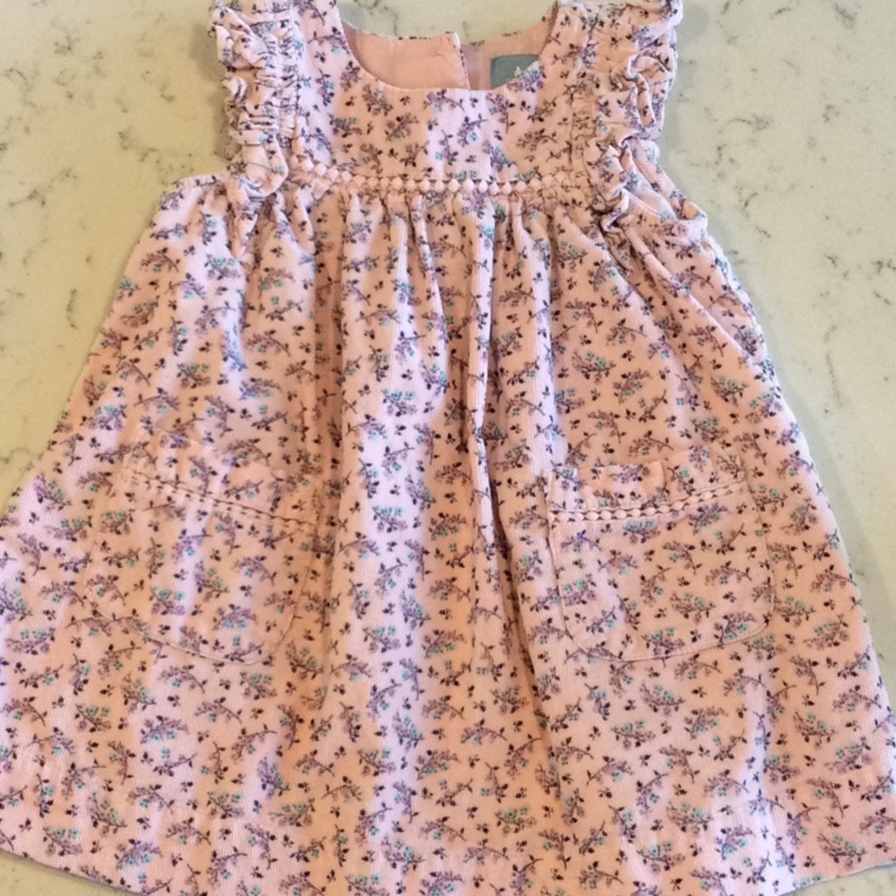 Baby GAP girl floral corduroy dress